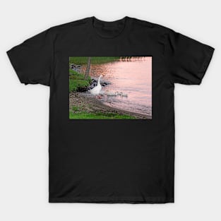 August Swim T-Shirt